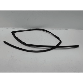 2016-2021 HONDA PILOT FRONT DRIVER SIDE DOOR WINDOW GLASS RUN CHANNEL SEAL OEM