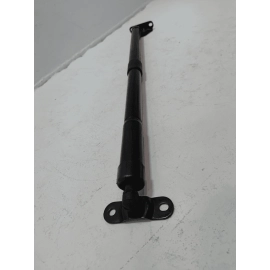 2019-2022 HONDA PILOT REAR PASSENER TAILGATE LIFTGATE LIFT CYLINDER STRUT OEM
