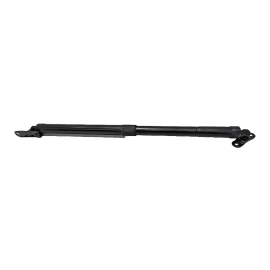 2019-2022 HONDA PILOT REAR PASSENER TAILGATE LIFTGATE LIFT CYLINDER STRUT OEM