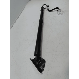2019-2022 HONDA PILOT REAR DRIVER SIDE TAILGATE LIFTGATE LIFT CYLINDER STRUT OEM