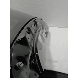 2019-2022 HONDA PILOT TAILGATE LIFTGATE BACK DOOR SHELL W/ GLASS *G542P* OEM