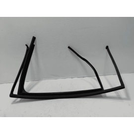 Volkswagen Atlas Rear Passenger Door Window Glass Run Channel Seal OEM 2018-2024