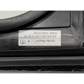 Volkswagen Atlas Rear Passenger Door Window Glass Run Channel Seal OEM 2018-2024