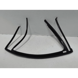 Volkswagen Atlas Rear Passenger Door Window Glass Run Channel Seal OEM 2018-2024