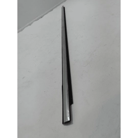 18-2025 VOLKSWAGEN ATLAS FRONT RIGHT PASSENGER SIDE DOOR WINDOW BELT MOLDING OEM