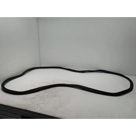 2018-2025 Volkswagen Atlas Rear Trunk Tailgate Body Weatherstrip OEM