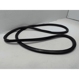 2018-2025 VOLKSWAGEN ATLAS FRONT PASSENGER DOOR BODY WEATHERSTRIP INNER SEAL OEM