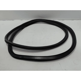 2018-2025 VOLKSWAGEN ATLAS FRONT PASSENGER DOOR BODY WEATHERSTRIP INNER SEAL OEM