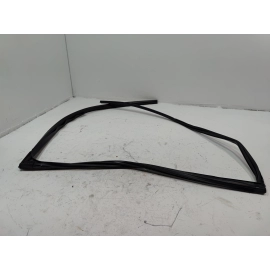 2016-2022 Honda Pilot Rear Left Driver Door Window Glass Run Channel Seal OEM