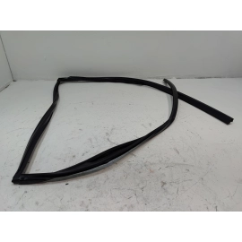 2016-2022 Honda Pilot Rear Left Driver Door Window Glass Run Channel Seal OEM