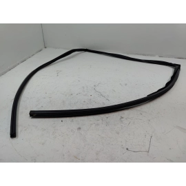 2016-2022 Honda Pilot Rear Left Driver Door Window Glass Run Channel Seal OEM