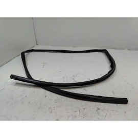 2016-2022 Honda Pilot Rear Left Driver Door Window Glass Run Channel Seal OEM