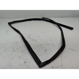 2016-2022 Honda Pilot Rear Left Driver Door Window Glass Run Channel Seal OEM