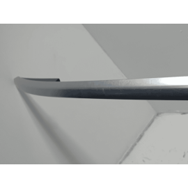 2018-19 Volkswagen Atlas Upper Passenger Side Roof Rail W/Out Panoramic OEM 1PCS