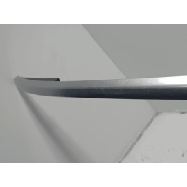 2018-19 Volkswagen Atlas Upper Passenger Side Roof Rail W/Out Panoramic OEM 1PCS