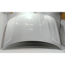2018 - 2020 VOLKSWAGEN ATLAS VW HOOD BONNET SHELL COVER PANEL OEM 0Q0Q WHITE