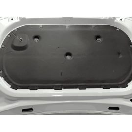 2018 - 2020 VOLKSWAGEN ATLAS VW HOOD BONNET SHELL COVER PANEL OEM 0Q0Q WHITE