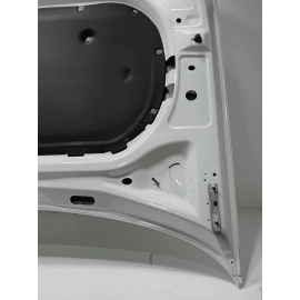 2018 - 2020 VOLKSWAGEN ATLAS VW HOOD BONNET SHELL COVER PANEL OEM 0Q0Q WHITE