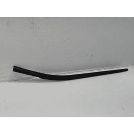 2024-2025  BUICK ENVISTA REAR RIGHT PASSENGER SIDE DOOR WINDOW BELT MOLDING OEM