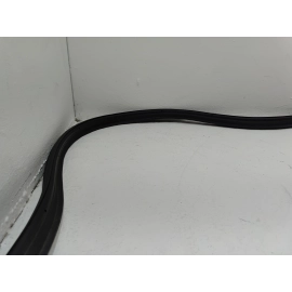 2024-2025 Buick Envista Back Door Tailgate Liftgate Body Weatherstrip Seal OEM