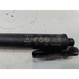 24-25 Buick Envista Rear Passenger Side Power Liftgate Lift Support Cylinder OEM