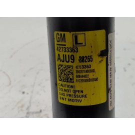 2024-2025 BUICK ENVISTA FRONT LEFT DRIVER SHOCK ABSORBER STRUT OEM