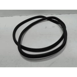 2024-2025 BUICK ENVISTA REAR PASSENGER SIDE DOORWAY WEATHERSTRIP SEAL RUBBER OEM