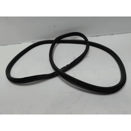 2024-2025 BUICK ENVISTA REAR PASSENGER SIDE DOORWAY WEATHERSTRIP SEAL RUBBER OEM