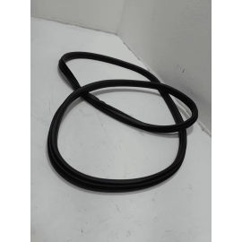 2024-2025 BUICK ENVISTA REAR PASSENGER SIDE DOORWAY WEATHERSTRIP SEAL RUBBER OEM