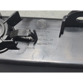 2024-2025 BUICK ENVISTA FRONT LEFT DRIVER SIDE DOOR PANEL PULL HANDLE OEM