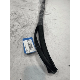 2016-2021 HONDA CIVIC FRONT PASSENGER DOOR WINDOW GLASS RUN CHANNEL SEAL OEM 2016-2021 HONDA CIVIC FRONT PASSENGER DOOR WINDOW GLASS RUN CHANNEL SEAL OEM
