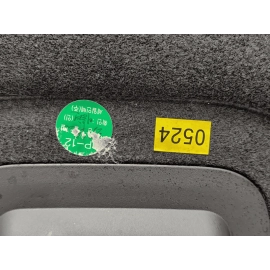 2024-2025 BUICK ENVISTA TRUNK CARGO SPARE TIRE FLOOR CARPET COVER PANEL OEM