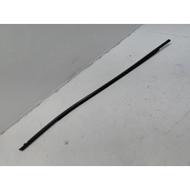 2019-2025 Toyota RAV4 Front Right Passenger Side Door Window Belt Molding OEM