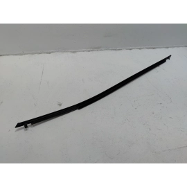 2019-2025 Toyota RAV4 Front Right Passenger Side Door Window Belt Molding OEM