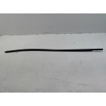 2019-2025 Toyota RAV4 Front Right Passenger Side Door Window Belt Molding OEM