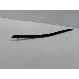 2019-2025 Toyota RAV4 Front Right Passenger Side Door Window Belt Molding OEM