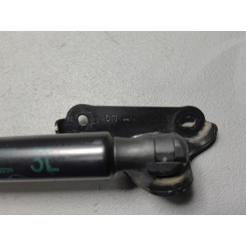 TOYOTA RAV4 2019 - 2025 REAR DRIVER SIDE LIFTGATE SHOCK STRUT LIFT SUPPORT OEM