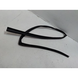 2019-25 Toyota RAV4 Front Passenger Side Door Window Glass Run Channel Seal OEM