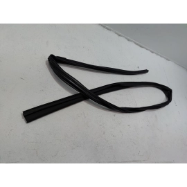 2019-25 Toyota RAV4 Front Passenger Side Door Window Glass Run Channel Seal OEM