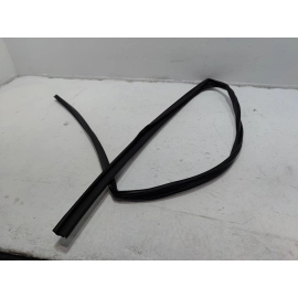 2019-25 Toyota RAV4 Front Passenger Side Door Window Glass Run Channel Seal OEM