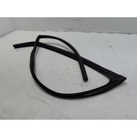 2019-2024 TOYOTA RAV4 FRONT DRIVER SIDE DOOR WINDOW GLASS RUN CHANNEL SEAL OEM