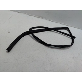 2019-2024 TOYOTA RAV4 FRONT DRIVER SIDE DOOR WINDOW GLASS RUN CHANNEL SEAL OEM