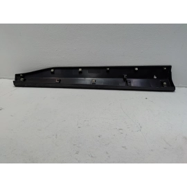 2019-2025 Toyota RAV4 Front Right Passenger Side Door Lower Molding Cover OEM