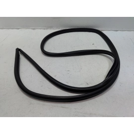 2019-2024 TOYOTA RAV4 REAR RIGHT PASSENGER SIDE DOOR BODY WEATHERSTRIP SEAL OEM