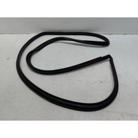 2019-2024 TOYOTA RAV4 REAR RIGHT PASSENGER SIDE DOOR BODY WEATHERSTRIP SEAL OEM