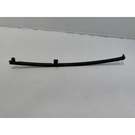 2019-2025 TOYOTA RAV4 REAR LEFT SIDE DOOR WINDOW GLASS GUIDE CHANNEL OEM