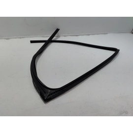 2019-2024 TOYOTA RAV4 REAR DRIVER SIDE DOOR WINDOW GLASS RUN CHANNEL SEAL OEM