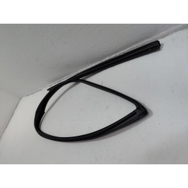 2019-2024 TOYOTA RAV4 REAR DRIVER SIDE DOOR WINDOW GLASS RUN CHANNEL SEAL OEM