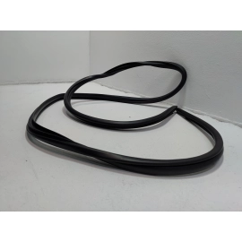 2019-2024 TOYOTA RAV4 REAR LEFT DRIVER SIDE DOOR BODY WEATHERSTRIP SEAL OEM