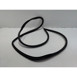 2019-2024 TOYOTA RAV4 REAR LEFT DRIVER SIDE DOOR BODY WEATHERSTRIP SEAL OEM